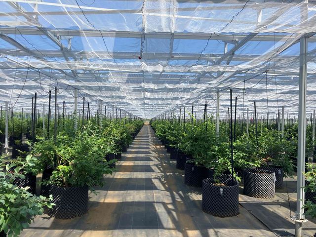 �����A�O���p�[�N����̎ʐ^1