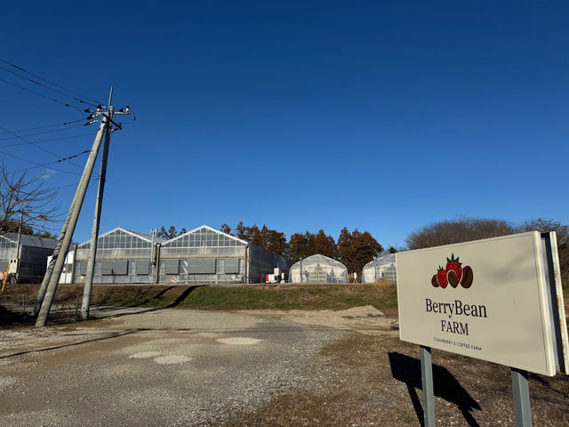 BerryBeanFARM