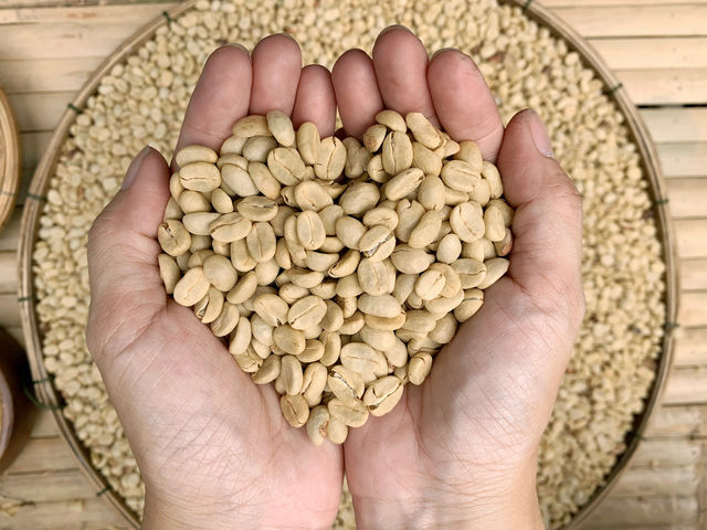 BerryBeanFARM