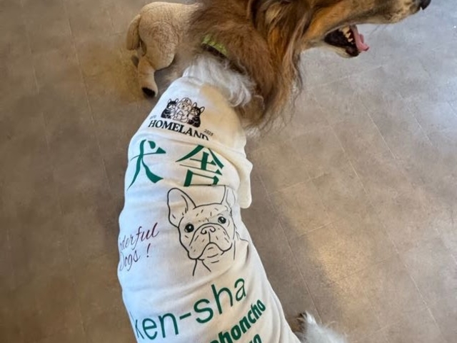 HOMELAND OME�̎ʐ^1