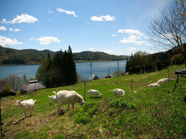 �����ȎR�r�q��̎ʐ^1