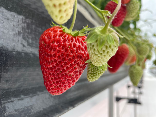 �j�V�E�G�ʉ��̎ʐ^1