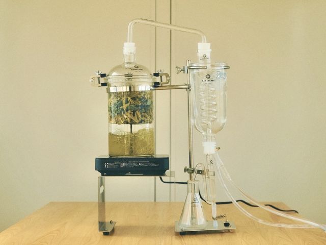 �o�_�n�[�u���_�X�̒�̎ʐ^1