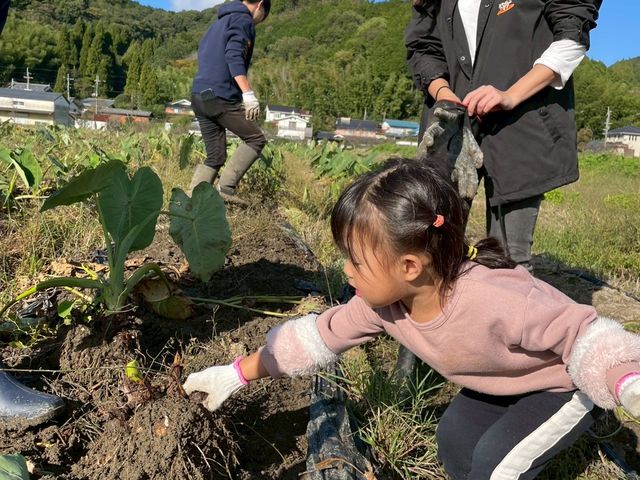 anokonofarm�̎ʐ^1