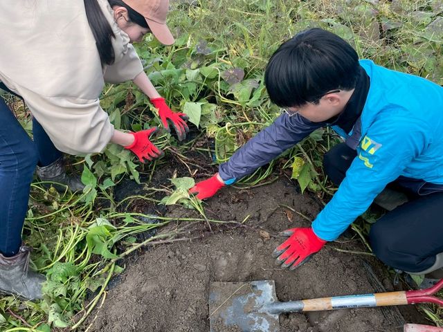 anokonofarm
