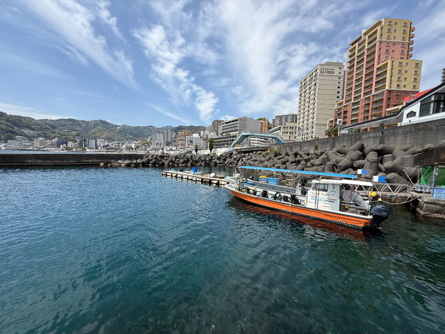 �M�C�_�C�r���O�̌����V���m�[�P�� All Marine Atami�̎ʐ^1