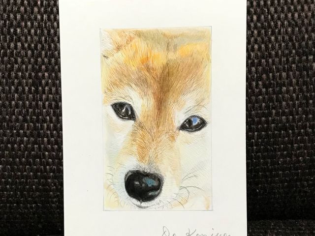 ���A���F���M