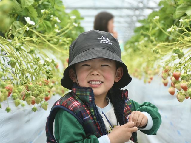 �݂₼�̃t�@�[���̎ʐ^1