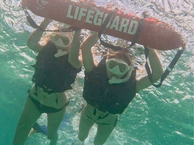 �T���S�ʃV���m�[�P��
���������Q�̐����ł̎v���o��GoPro�ŎB�e�I_MARINE UNIT