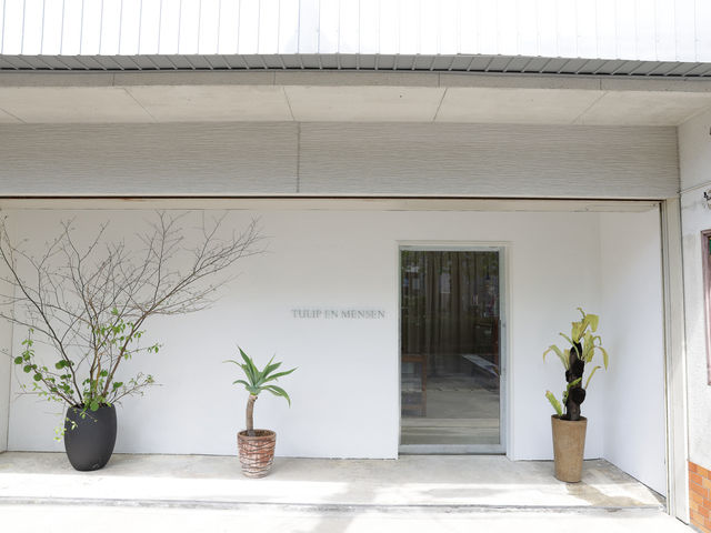 TULIP EN MENSEN�̎ʐ^1