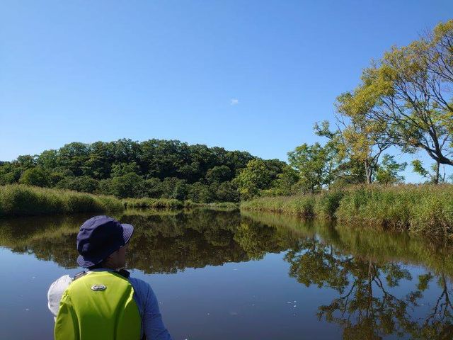 ���݃s�[�X�t�����o�[�J�k�[�̎ʐ^1