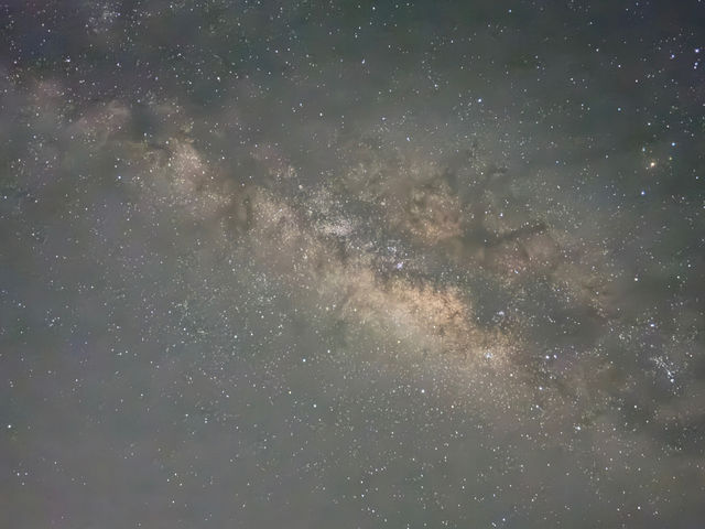 �G�R�c�A�[�K�C�hNAO�̎ʐ^1