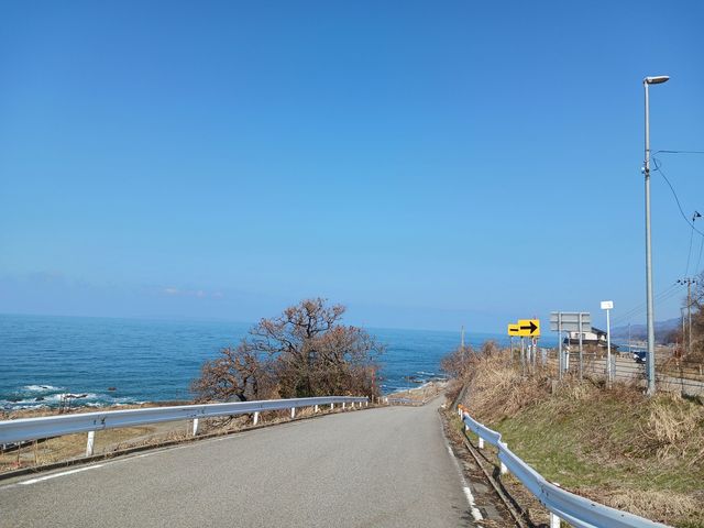 �V�����k�T�C�N���c�[���Y���̎ʐ^1