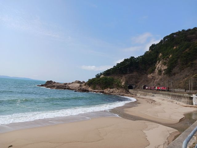 ���여��R�[�X_�V�����k�T�C�N���c�[���Y��