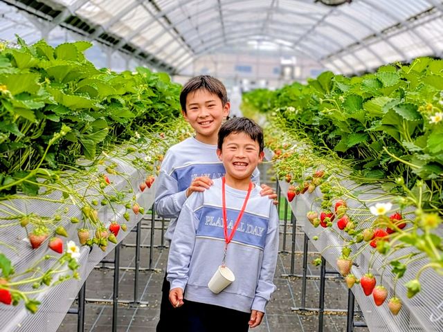 THEFARM_strawberry�x�W�t���t�@�[���������_���̎ʐ^1