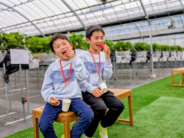 THEFARM_strawberry�x�W�t���t�@�[���������_��