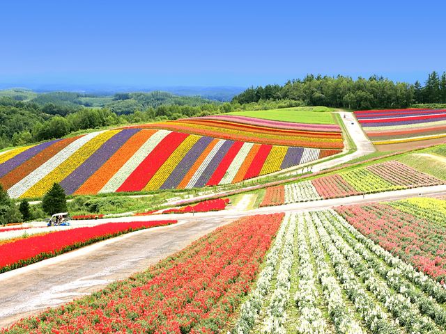 Thomas English ������Ђ̎ʐ^1