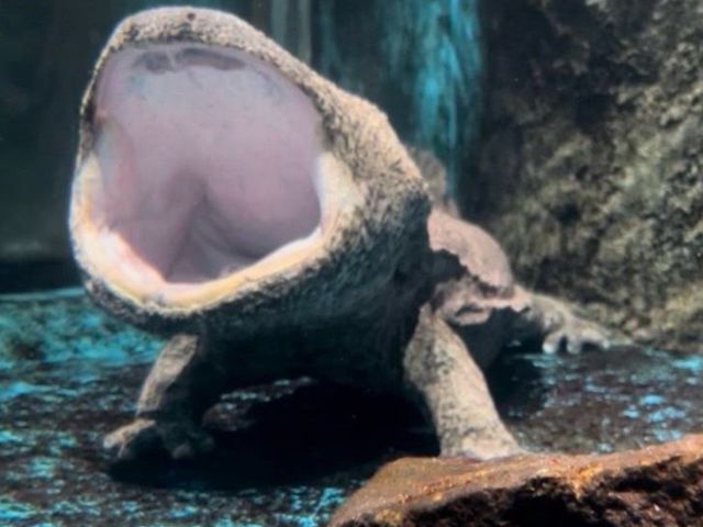 �����݂�����s������