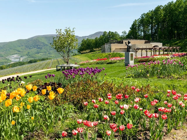 �l�G�܁X�̉Ԃ��炫�ւ���ꖳ���̃C���O���b�V���K�[�f��_NIKI Hills Winery