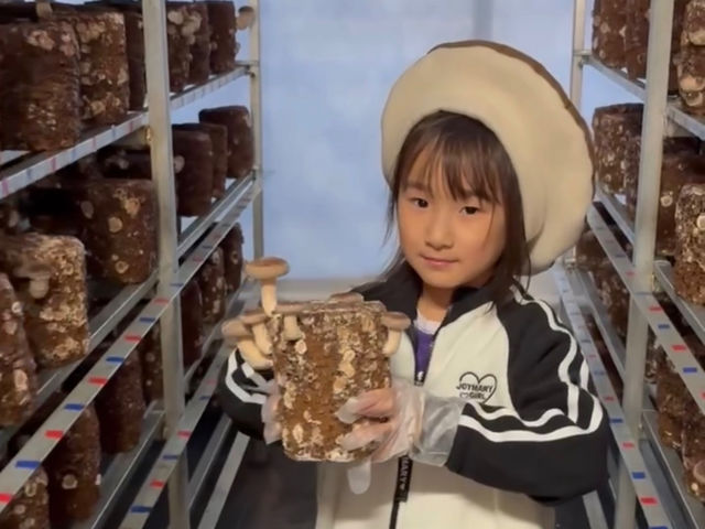 �z�b�v�t�@�[���̎ʐ^1