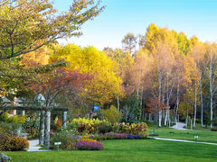 ȍ oN CObV K[f̎ʐ^1