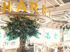 JE\JtF HARRYheXX̎ʐ^1