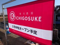 ICHIGOSUKE�̎ʐ^1