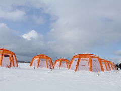 �A�[�X�A�E�g�h�A�c�A�[�Y �D�y�X�̎ʐ^1