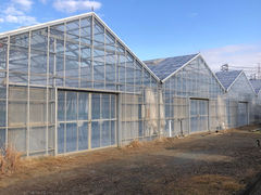 �t�� �}�`���A�̎ʐ^1