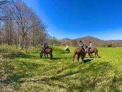 �k���{��n�T�[�r�X�o���_�i�̎ʐ^1