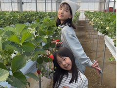 森の苺園の写真1