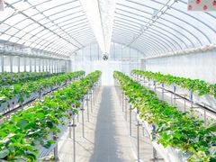 Merry Berry Farm�̎ʐ^1