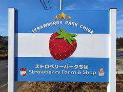 �X�g���x���[�p�[�N���΂̎ʐ^1