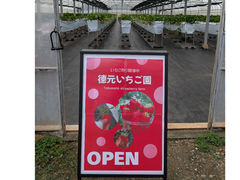 �������������̎ʐ^1