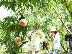 MOMOYAMA STAND�̎ʐ^1