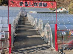 まるしば農園の写真一覧 - じゃらんnet