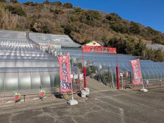 �܂邵�Δ_���̎ʐ^1