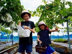 �A�O���[���p�[�N ���낳�Ɠ��̋u�̎ʐ^1