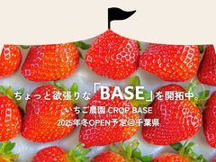 ichigo the CROP BASE�̎ʐ^1