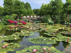 ���Îs�������A�������݂��̐X�̎ʐ^1