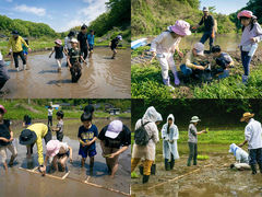 WISH HOUSE FARM�̎ʐ^1