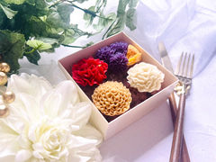 �ԉَq�Éԓ��̎ʐ^1