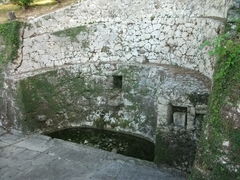 ��������̎ʐ^1