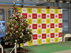 �Ȃ�ρ[���̎ʐ^1