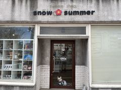 snow summer�̎ʐ^1