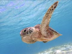 �}�[���{�Ó��̎ʐ^1