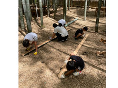 �|�эL��̎ʐ^1