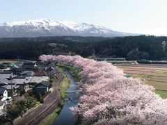 Japan E-Bike Tours�̎ʐ^1