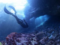 scuba&skindiving +YOU�̎ʐ^1