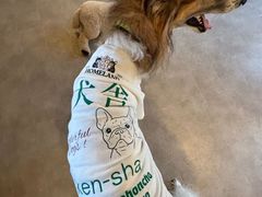 HOMELAND OMEの写真1